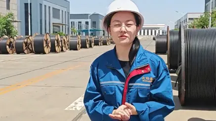 Overhead Cables Explained: Host Elaine Wang Guides You Today