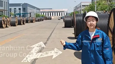 Today, Host Winter Zhou Introduces Overhead Cables