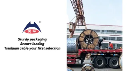 Sturdy packaging丨Secure loading丨Tianhuan cable your first selection