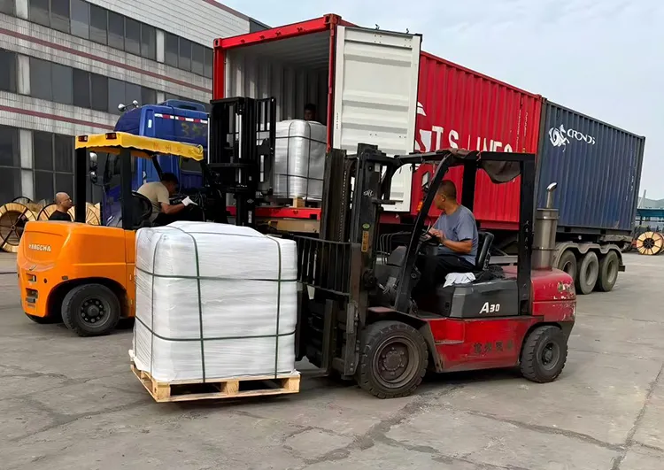 Efficient Global Supply Chain