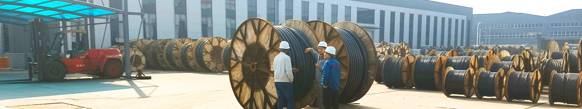 Franchise Gency Service