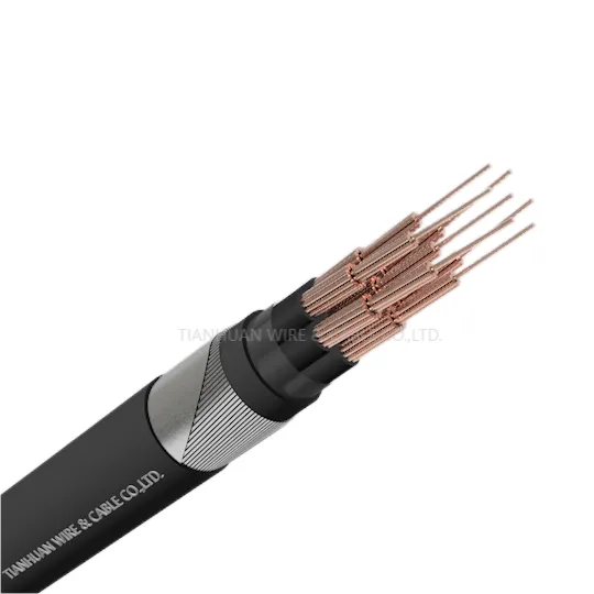 NYFGbY 0.6/1kV With Cu Conductors,PVC Insulated,Galvanized Flat Steel Wire Armor and PVC Sheathed Control Cable